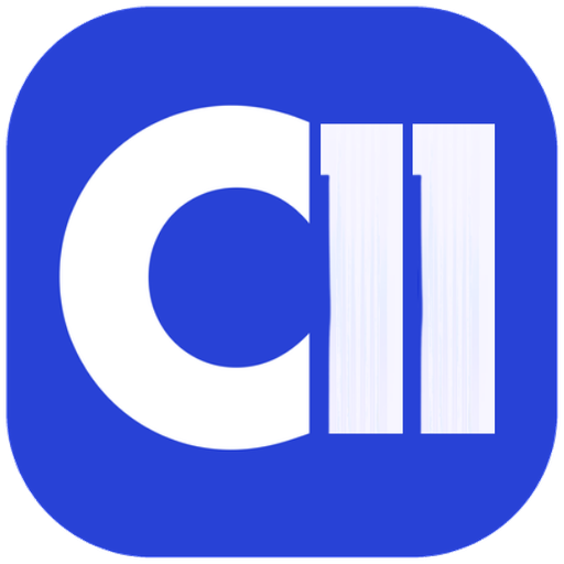 C11 Fintech
