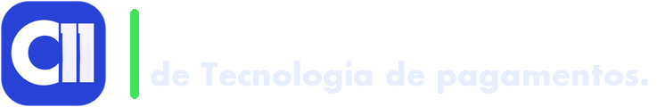 C11 Fintech